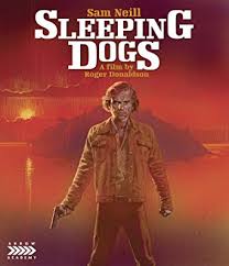 arrowSleepingDogs