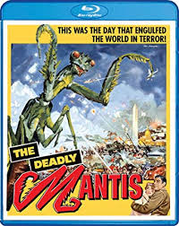 screamDeadlyMantis