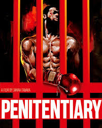 vsPenitentiary